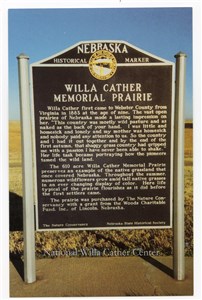 Image description is not available for PHO-264-894